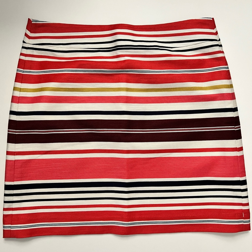Striped Multicolor Women's Skirt